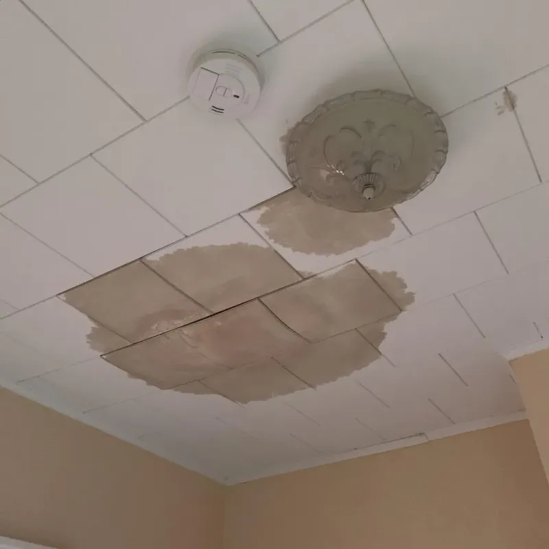 Ceiling Water Damage Repair in King County, TX