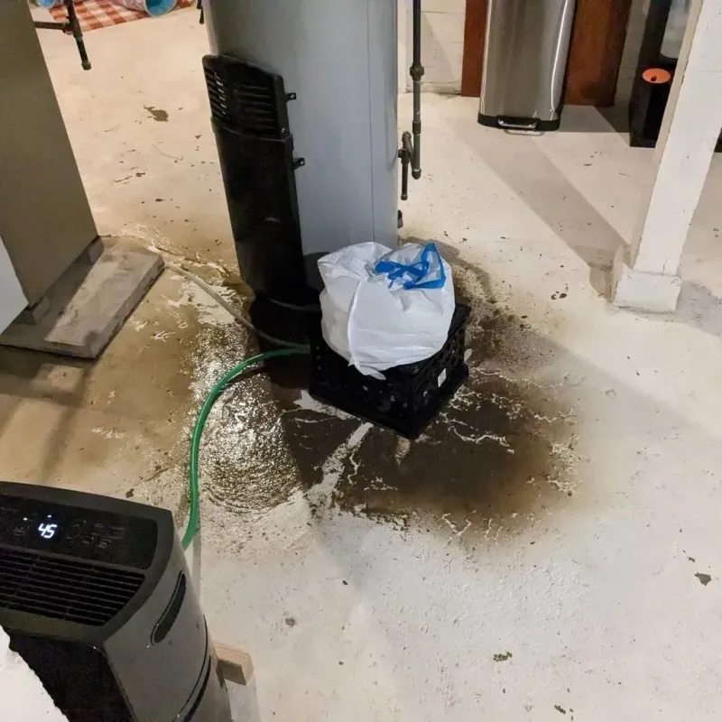 Sewage Backup Cleanup Service in King County, TX